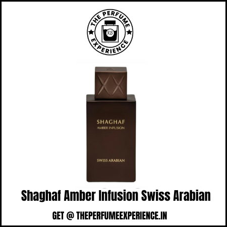 Shaghaf Amber Infusion Swiss Arabian| 10ml Decant