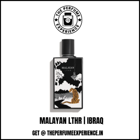 MALAYAN LTHR | IBRAQ | 10ml Decant