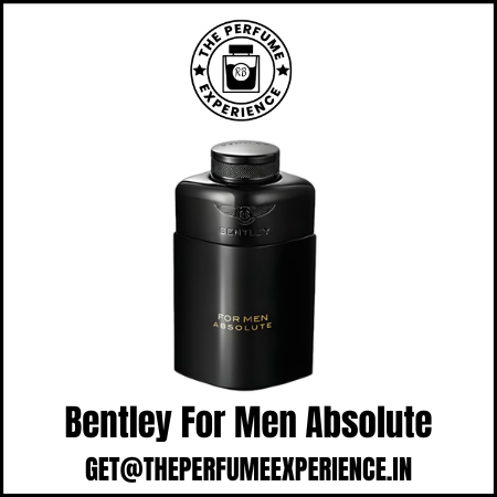 Bentley for Men Absolute 10ml Decant | Bentley