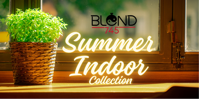Summer Indoor Collection 15mlx4  | Blend745 Extrait Perfumes