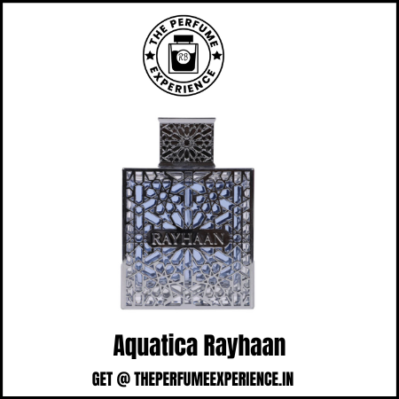Aquatica by Rayhaan | 10ml Decant