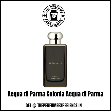 Cypress & Grapevine Cologne Intense Jo Malone London  | 5& 10ml Decants | Jo Malone London