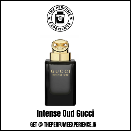 Intense Oud Gucci  | 10ml Decant