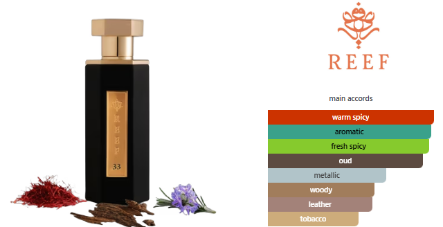 Reef33  (Inspired by Reef 33 Reef Perfumes) Perfume Oil | 10ml Perfume Oil | Made in UAE