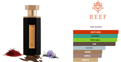 Reef33  (Inspired by Reef 33 Reef Perfumes) Perfume Oil | 10ml Perfume Oil | Made in UAE