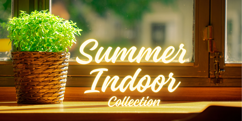 Summer Indoor Collection 15mlx4  | Blend745 Extrait Perfumes